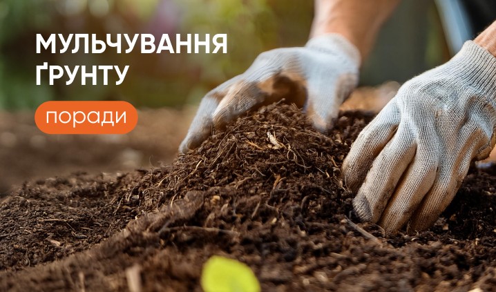 Обложка "Мульчирование почвы"