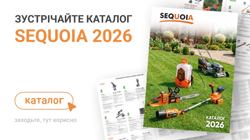 - Главная catalogue 2026 mb